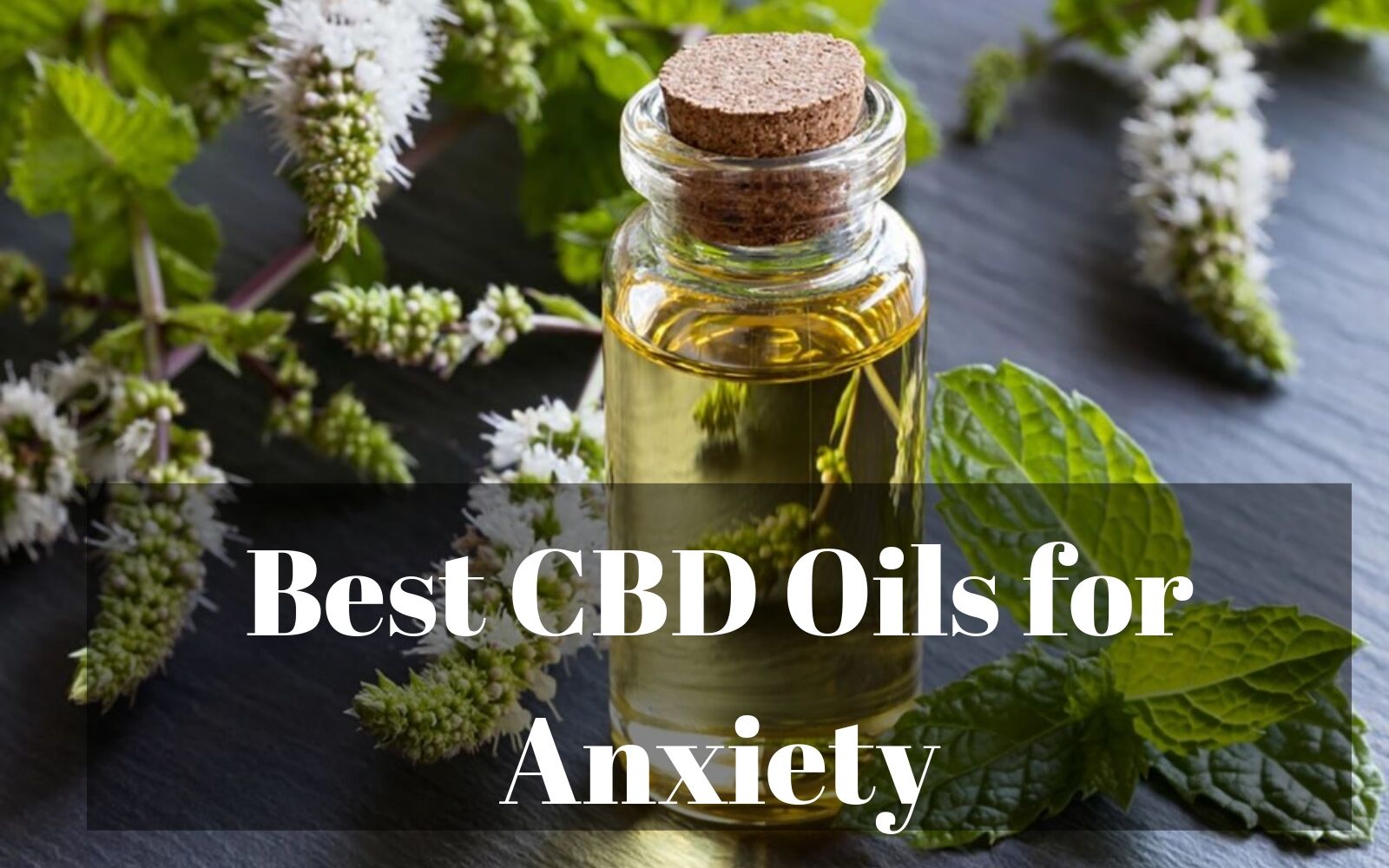 5 Best CBD Oils For Anxiety, Use, Dosage & Benefits Can CBD Oil Help ...