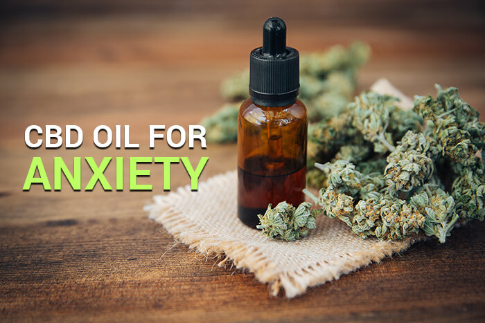 5 Best CBD Oils For Anxiety, Use, Dosage & Benefits Can CBD Oil Help ...